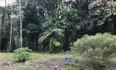 SE VENDE TERRENO EN ALTOS DEL MARIA EN BOSQUE NUBOSO 3068.16 m2