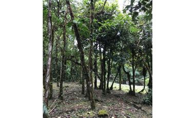 SE VENDE TERRENO EN ALTOS DEL MARIA EN BOSQUE NUBOSO 3068.16 m2