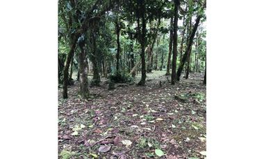 SE VENDE TERRENO EN ALTOS DEL MARIA EN BOSQUE NUBOSO 3068.16 m2