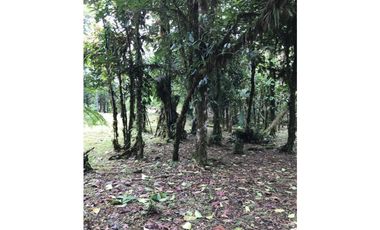SE VENDE TERRENO EN ALTOS DEL MARIA EN BOSQUE NUBOSO 3068.16 m2