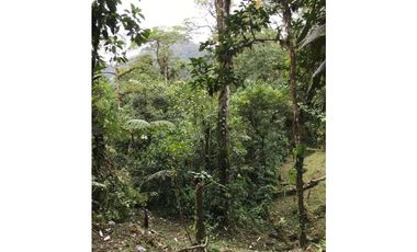SE VENDE TERRENO EN ALTOS DEL MARIA EN BOSQUE NUBOSO 3068.16 m2