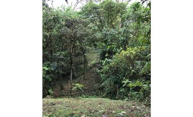SE VENDE TERRENO EN ALTOS DEL MARIA EN BOSQUE NUBOSO 3068.16 m2