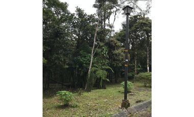 SE VENDE TERRENO EN ALTOS DEL MARIA EN BOSQUE NUBOSO 3068.16 m2