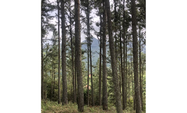 SE VENDE TERRENO EN ALTOS DEL MARIA  MIRADOR DEL PACIFICO