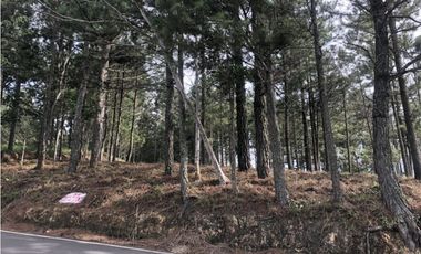 SE VENDE TERRENO EN ALTOS DEL MARIA  MIRADOR DEL PACIFICO
