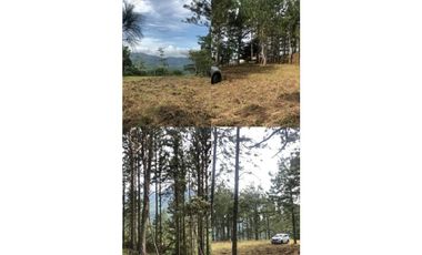 SE VENDE TERRENO EN ALTOS DEL MARIA  MIRADOR DEL PACIFICO