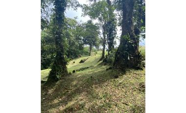 SE VENDE TERRENO EN ALTOS DEL MARIA UBICADO EN LA RIOCA 2237 m2