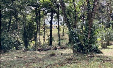 SE VENDE TERRENO EN ALTOS DEL MARIA UBICADO EN LA RIOCA 2237 m2