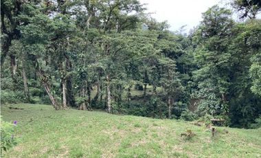 SE VENDE TERRENO EN ALTOS DEL MARIA UBICADO EN LA RIOCA 2237 m2