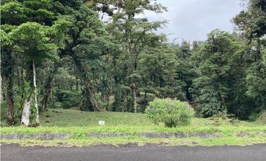 SE VENDE TERRENO EN ALTOS DEL MARIA UBICADO EN LA RIOCA 2237 m2