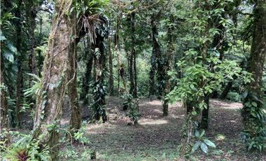 SE VENDE TERRENO EN ALTOS DEL MARIA UBICADO EN LA RIOCA 2237 m2