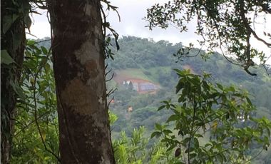 SE VENDE TERRENO EN ALTOS DEL MARIA  AREA LA RIOCCA 1456.39 M2