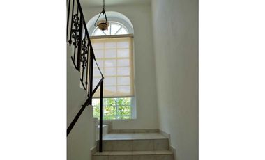 AMPLIA CASA CLAYTON ALBROOK GARDENS 260MT2