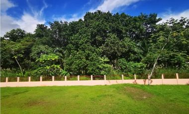 SE VENDE CASA  EN CLAYTON PARA ESTRENAR 600 MTS2 CON SIN PISCINA