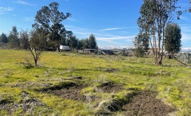 Parcela en Venta en RAUCO