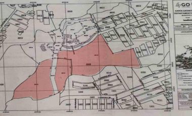 LOTES EN VENTA AVENIDA OCCIDENTE ARMENIA QUIDIO