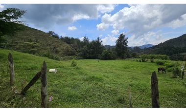 Título: Lote en Venta El Retiro, 100% plano, Vereda Puente Peláez