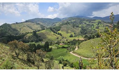 Título: Lote en Venta El Retiro, 100% plano, Vereda Puente Peláez