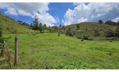 Título: Lote en Venta El Retiro, 100% plano, Vereda Puente Peláez