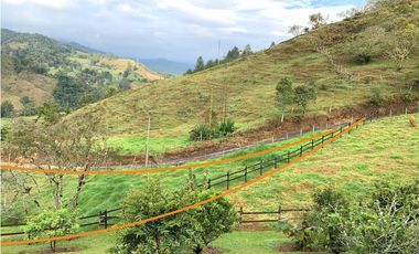 Título: Lote en Venta El Retiro, Antioquia | Vereda Puente Peláez