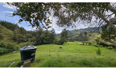 Título: Lote en Venta El Retiro, 100% plano, Vereda Puente Peláez