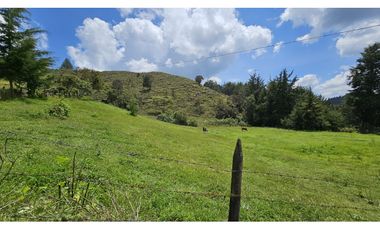 Título: Lote en Venta El Retiro, 100% plano, Vereda Puente Peláez