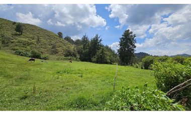 Título: Lote en Venta El Retiro, 100% plano, Vereda Puente Peláez