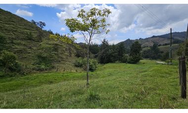 Título: Lote en Venta El Retiro, 100% plano, Vereda Puente Peláez