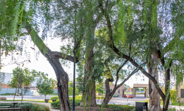 SE RENTA CASA EN ARIA BOSCAJE LEÓN GUANAJUATO