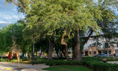 SE RENTA CASA EN ARIA BOSCAJE LEÓN GUANAJUATO