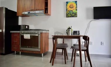 DEPARTAMENTO AMUEBLADO RENTA  INTERCITY PLANTA BAJA