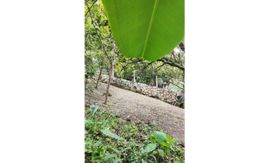 Venta de casalote de 570 M2 en 295 mill en La Mesa Cund
