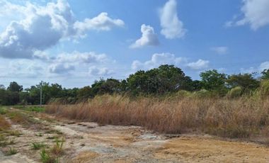 TERRENO / CORONADO / 2500 MT2 / PLANO