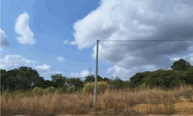 TERRENO / CORONADO / 2500 MT2 / PLANO