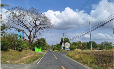 TERRENO / CORONADO / 2500 MT2 / PLANO