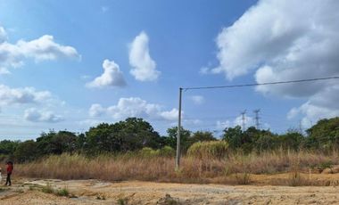 TERRENO / CORONADO / 2500 MT2 / PLANO