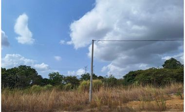 TERRENO / CORONADO / 2500 MT2 / PLANO