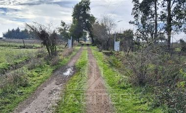 Agrícola en Venta en Rio Claro