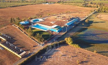Agrícola en Venta en Rio Claro