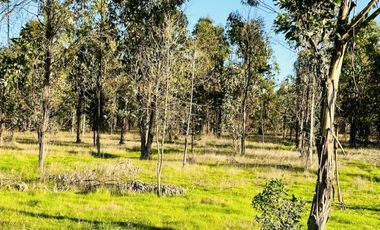 PARCELAS PLANAS A 35 MINUTOS DE PICHILEMU FRENTE A VIÑA