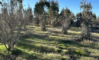PARCELAS PLANAS A 35 MINUTOS DE PICHILEMU FRENTE A VIÑA