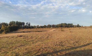 Parcelas planas en Cauquenes rol propio entrega inmediata