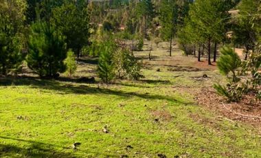 Parcelas planas en Cauquenes rol propio entrega inmediata