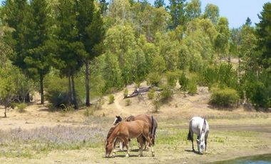 Parcelas planas en Cauquenes rol propio entrega inmediata