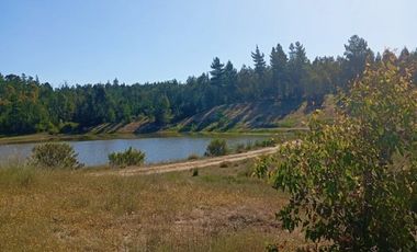 Parcelas planas en Cauquenes rol propio entrega inmediata