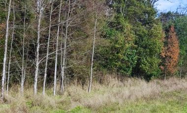 Parcelas en Osorno con crédito directo hasta 36 cuotas