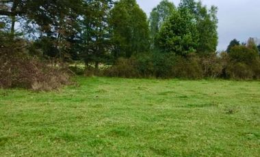 Parcelas en Osorno con crédito directo hasta 36 cuotas