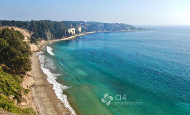 Estupenda Vista Al Mar, Primera Línea Condominio Alto Mar.