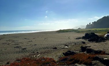PARCELAS A MINUTOS DE PLAYA PICHILEMU SECTOR ALTO COLORADO