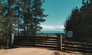 PARCELAS A MINUTOS DE PLAYA PICHILEMU SECTOR ALTO COLORADO